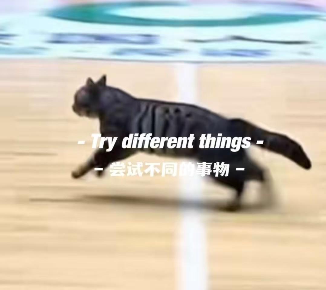 新用户注册送彩金-猫猫也想打球，广东四川CBA比赛中场地内跑进一只小猫